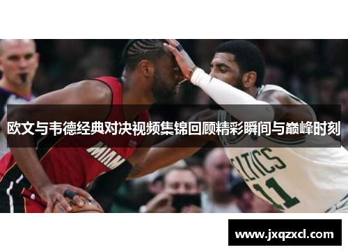 欧文与韦德经典对决视频集锦回顾精彩瞬间与巅峰时刻