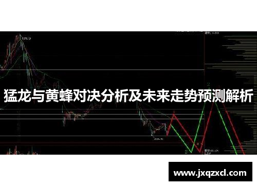 猛龙与黄蜂对决分析及未来走势预测解析